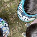 7월 4주 생태놀이(도토리폭포나라 물미끄럼놀이,용담계곡 폭포물놀이,물속 줄다리기,마당호스물놀이,물잠자리와 왕거미관찰,동시낭독…) 이미지