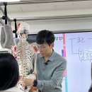 현업 강사가 추천하는 국제재활필라테스협회 매직바디 필라테스강사자격증 3회 차 수업 후기