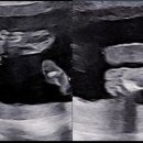 나유미유외과의원 이미지