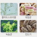 온양용화고등학교 이미지