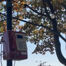 화성가든식당 이미지