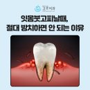 하얀고운치과의원 네이버블로그