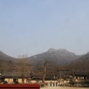 통호리  사구미 | 2015.03.21 전남 해남 두륜산
