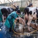 세계축산 이미지