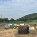 무지개게임장 이미지