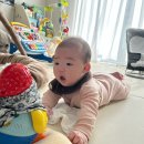 꼬꼬맘 | [육아용품] 터미타임 친구 아기 장난감 ‘꼬꼬맘‘ 사용후기