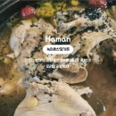 녹아촌산장가든 이미지