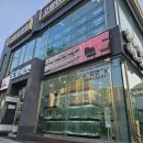 도로시 펫 이미지