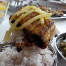 영천민물장어 이미지