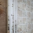 장유환경 이미지