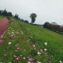 광산하우스콘서트_드로잉서커스 <크로키키 브라더스> | 광산문화예술공연/크로키 브라더스