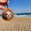 신라옥 본점 | 강릉 안목해변 강아지동반 오션뷰 카페 강원옥찹쌀떡 내돈내산 후기 / 정남미명과 / 안목애 미역국