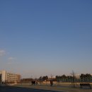 웨스턴스테이크 이미지