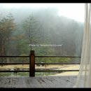 휘겔하임 이미지