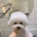 위드스테이부산 이미지