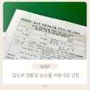 영도구청 보건소 | 임신일기 #31. 48만원 혜택 부산 사하구 임산부친환경농산물꾸러미 신청하는 방법