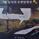 한천천 | 복구 중인 진천 농다리