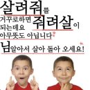 메트로여관 | 아묻따 꼭 해야할 방탈출 '피안화' PALY33 3인 후기 ##인생테마