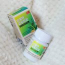 부지런한 습관을 위한 똑똑한 정리정돈 | 요즘 정착한 장 건강 루틴, #비움에좋은알로에와 #파로효소의만남 후기