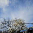 (주)더배럴컴퍼니 | 동묘 디카 동묘구제시장 빈티지 디카 구매 진명컴퍼니 장난감가게 연일전자 믿음사 명성전자 후기