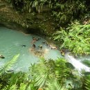 (주)오세샬롬 | 세부 세친구투어 (feat. 오캐모팩) 내돈내산 후기