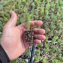 양구목장 이미지