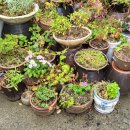 주전식육식당 이미지