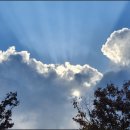 횡성인천방향 씨유 신선점 | 횡성휴게소 딸기모찌,여름철 디저트의 진정한 즐거움