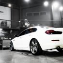 아이언게러지 이미지