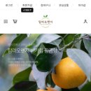 탐라 오렌지
