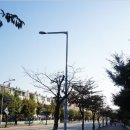 보배길 이미지