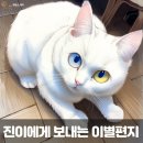 ﻿김해반려동물장례식장 [진이]에게 보내는 이별편지 이미지