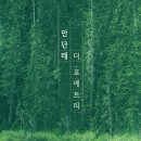 안단테 이미지