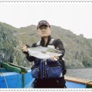 홍도낚시