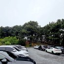 "섬 전체가 하나의 정원!" 충남 보령 죽도 상화원에서 찾은 완벽한 힐링 산책, 그리고 놓치지 말아야 할...