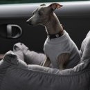 정선가축병원 이미지