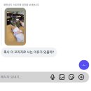준영농장 | 다들 힘내 좋아를 거꾸로 하면?
