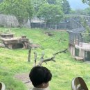 카페융가비 이미지