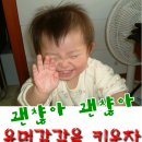 까치방