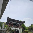 용호사 네이버블로그