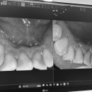 도담치과의원 이미지