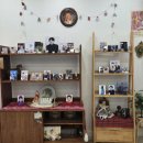 스튜디오 &#39;안나사진관&#39;