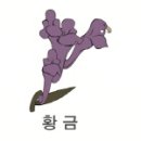 아띠코스메틱