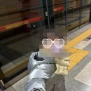 남태령어린이집 | 네살 아기랑 서울랜드 | 눈썰매, 100cm 놀이기구, 겨울 방학 알차게 보내기