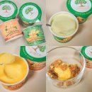 제주가 | 제주 간식 추천 여름 디저트 청귤 한라봉 샤베트 후기