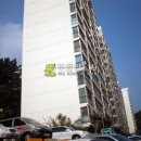 포항시북구96 Daum카페