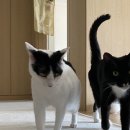 26230-73-01-035 | 내가 입고 싶어서 쓰는 무신사 가을 코디 겸 위시리스트