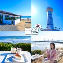 대왕암공원1(무인계수기) | 울산 여행코스 추천 슬도 바다 오션뷰 카페 봄여름가을