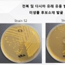 (주)이노사이언스