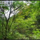 논미2리 이미지